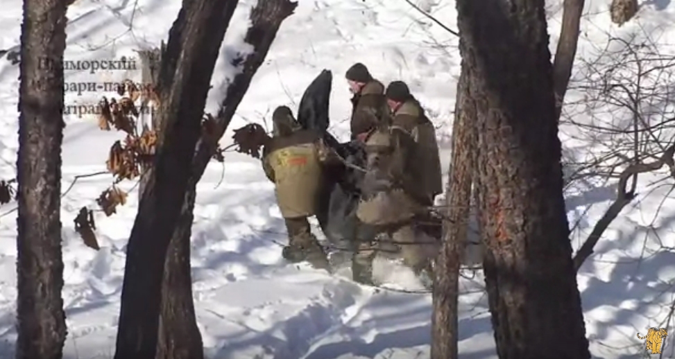 Сотрудники уносят Тимура скриншот видео