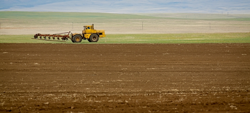 Бурятии прогозируют повторение засухи лета 2015 года