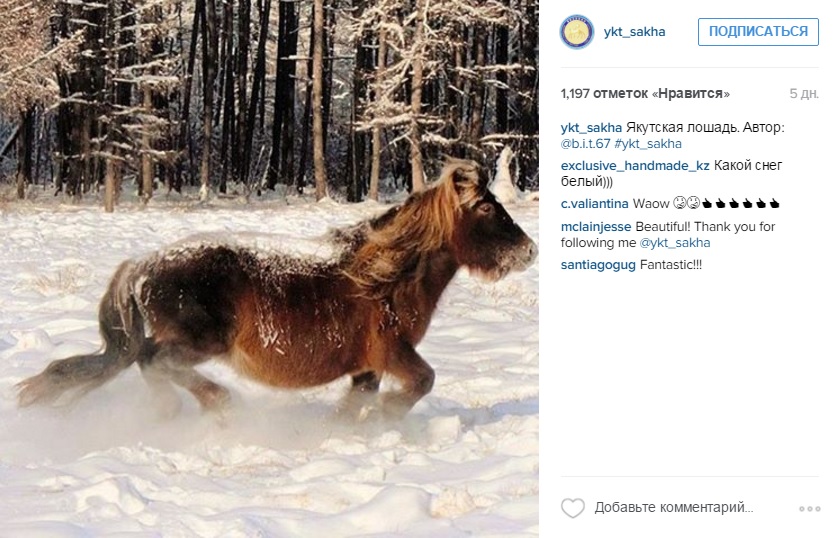 Лучшие фотографии Якутии за неделю из Instagram