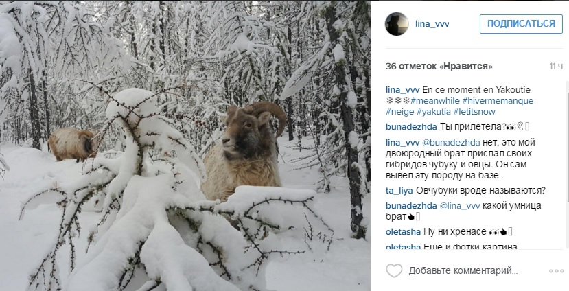 Лучшие фотографии Якутии за неделю из Instagram