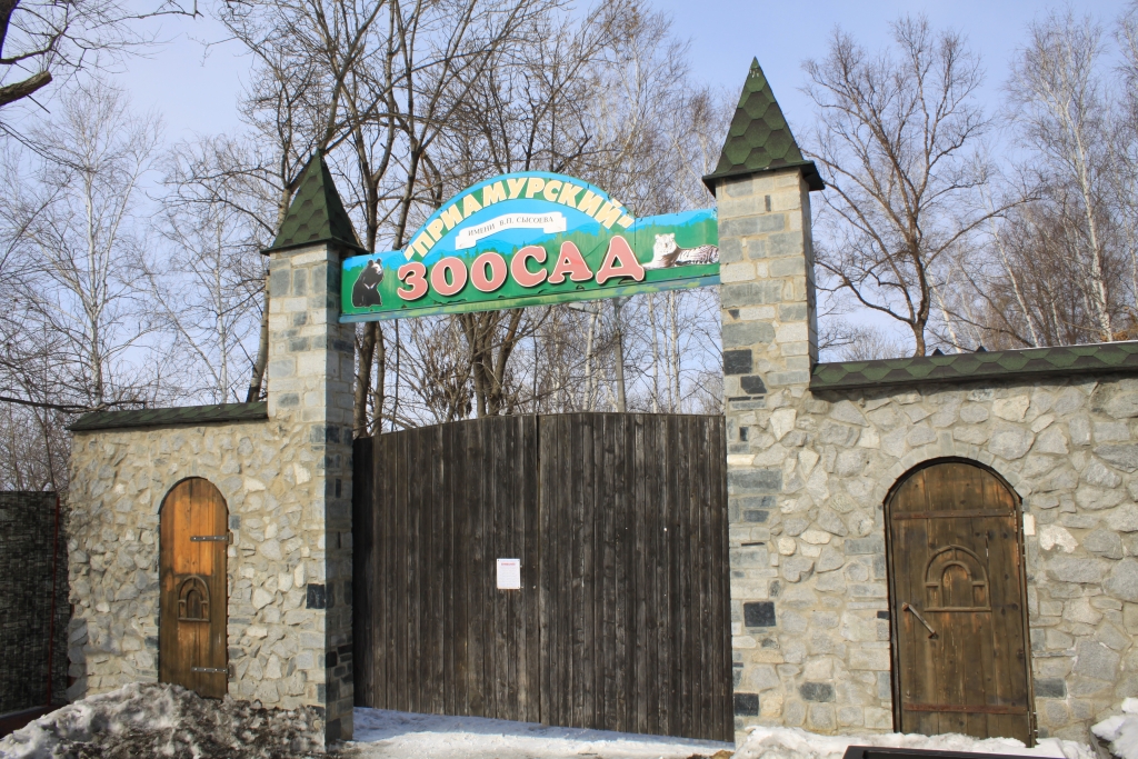 В гостях у мишки Ёши