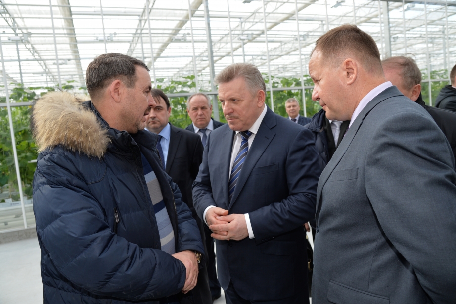 Первый урожай томатов из японского тепличного комплекса поступит на прилавки в апреле