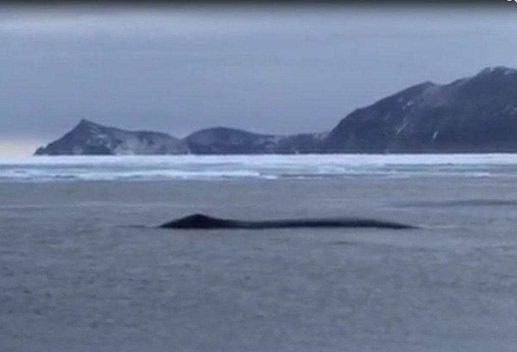 Итоги недели