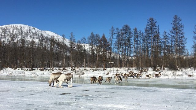 Участники экспедиции "Полюс Холода"