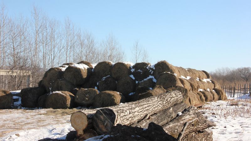 Хозяйство Елены Хапаль
