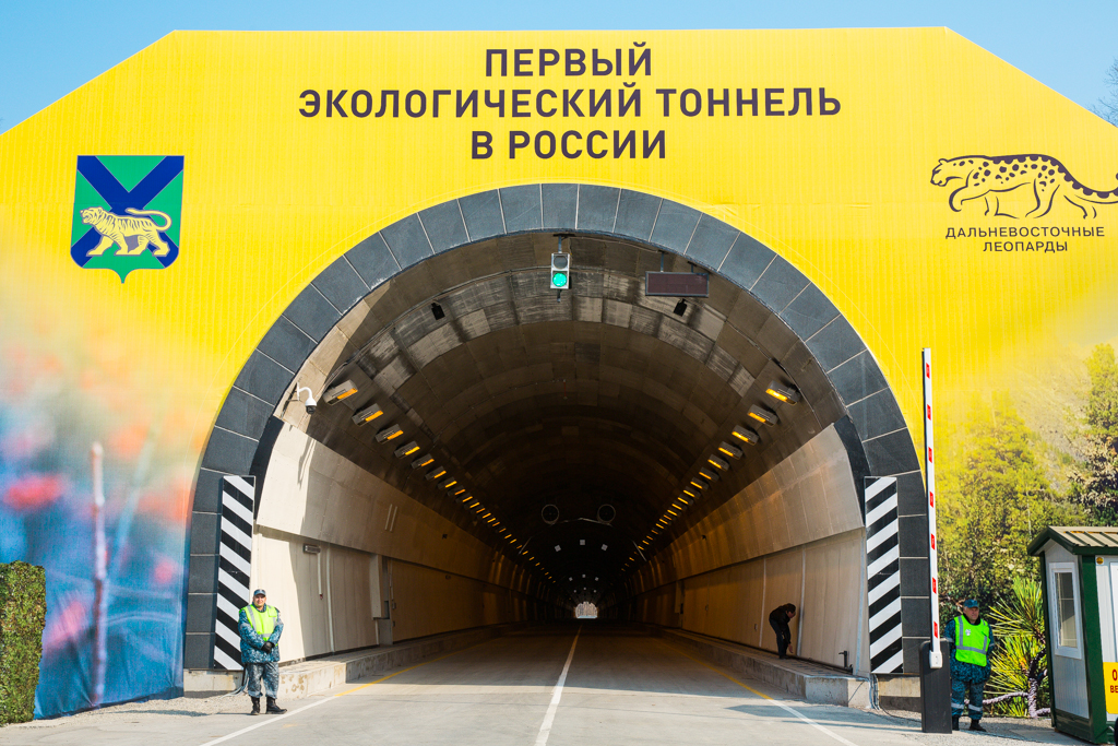 Нарвинский тоннель Юлия Никитина, РИА PrimaMedia