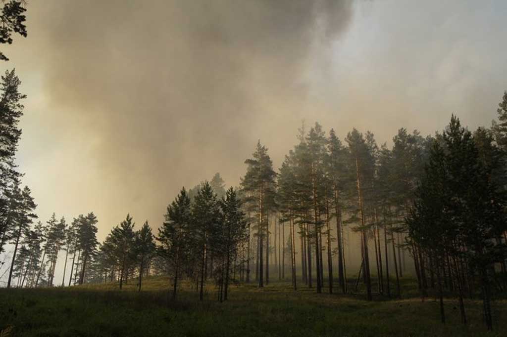 Казаки готовы патрулировать пригородные леса Улан-Удэ в пожароопасный период Василий Тараруев, UlanMedia