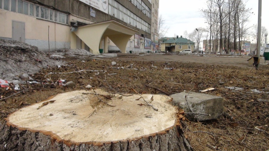 Биробиджан простится не только со статусом чистого, но и самого зеленого города – наркорр ИА EAOmedia