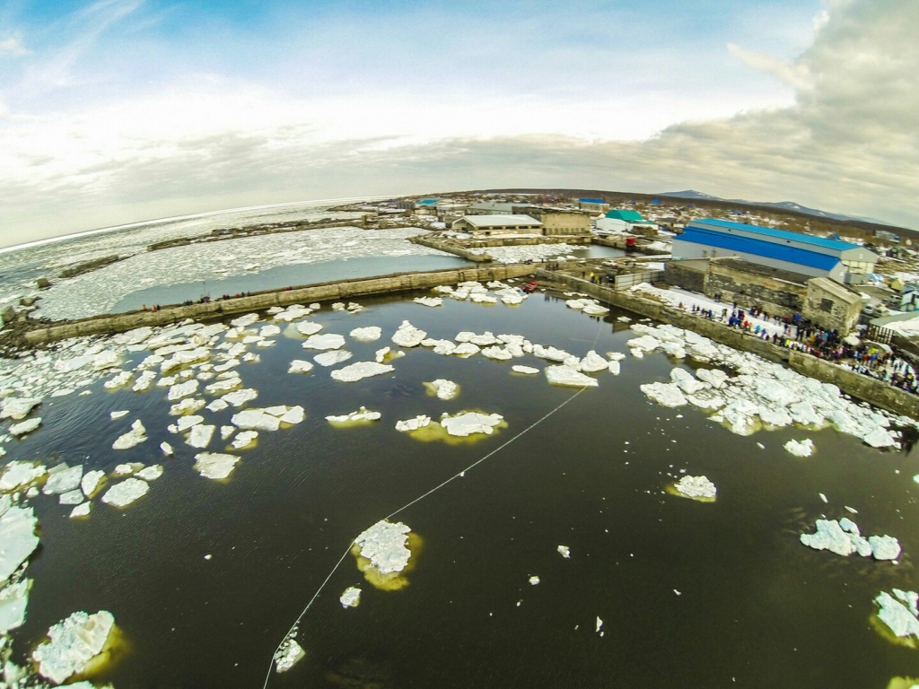 На Сахалине от неминуемой гибели спасли четырех косаток