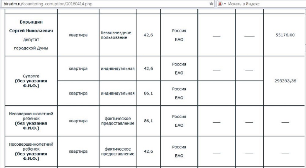 Декларация депутата Бурындина