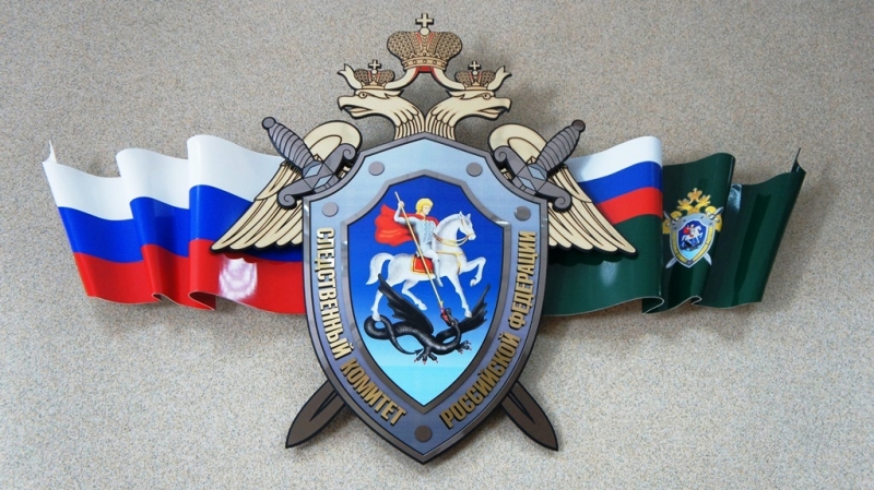 Следственный комитет Баграновская Наталья, EAOmedia