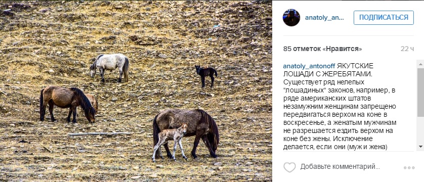 Лучшие фотографии Якутии за неделю из Instagram