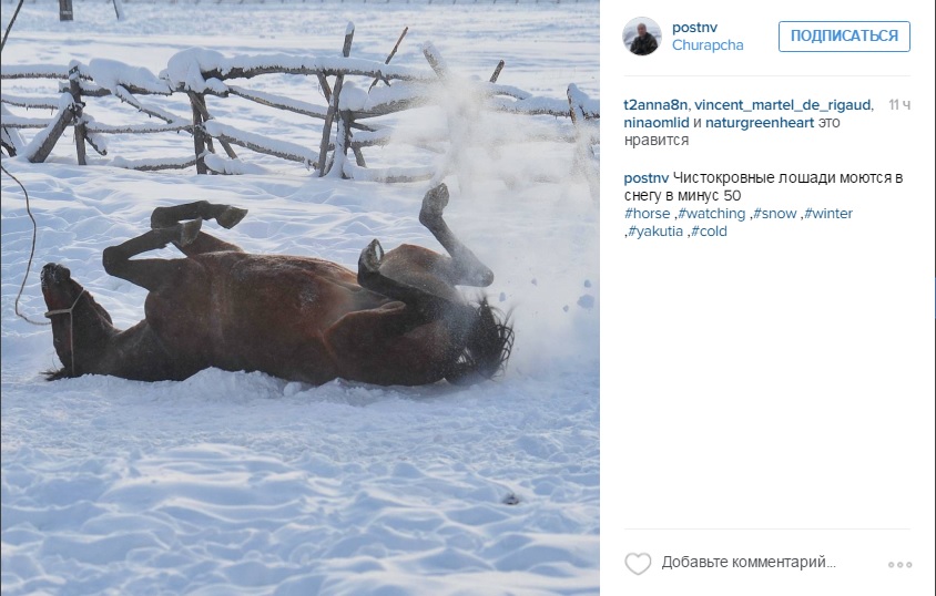 Лучшие фотографии Якутии за неделю из Instagram