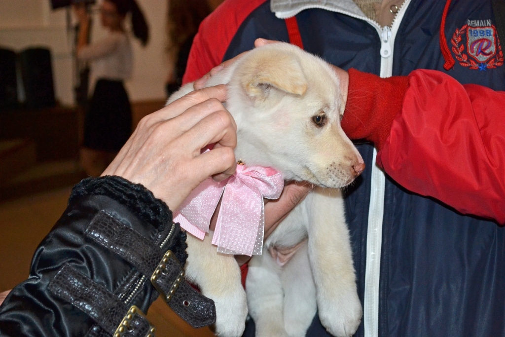 Редакция информагентства приготовила подборку самых интересных снимков за месяц