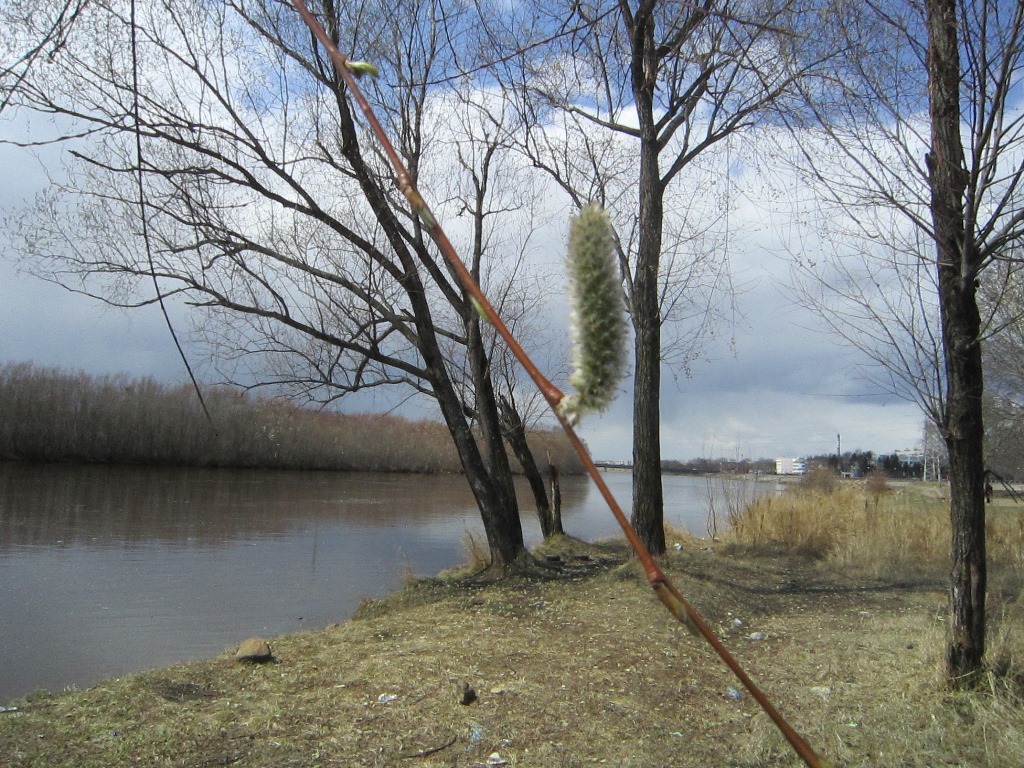 Редакция информагентства приготовила подборку самых интересных снимков за месяц