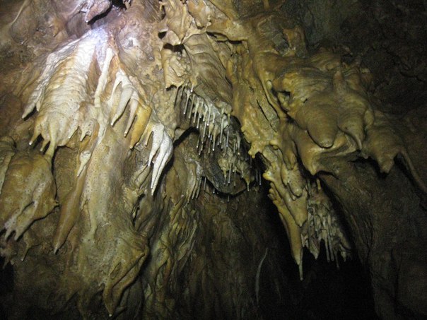 Редакция информагентства приготовила подборку самых интересных снимков за месяц