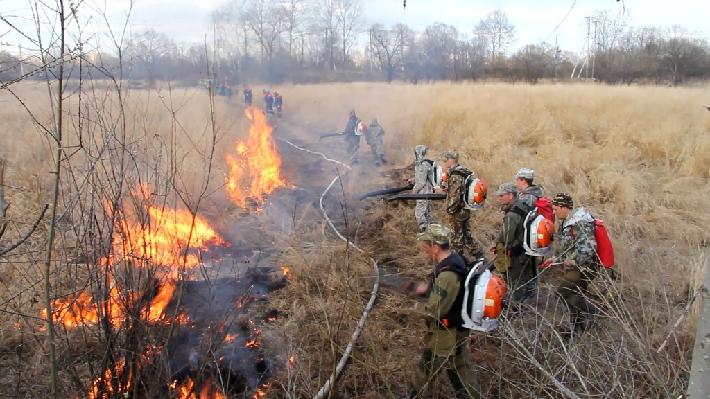 На учениях Управление лесами правительства ЕАО