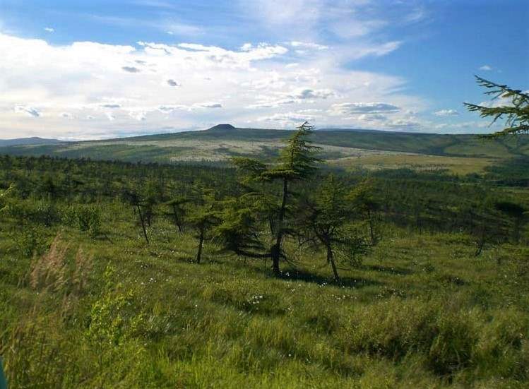 Ольский городской округ ИА MagadanMedia