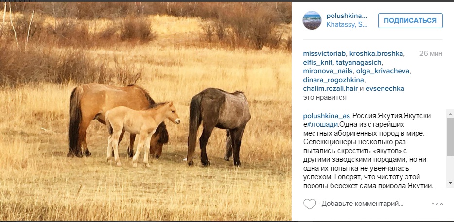 Лучшие фотографии из Instagram