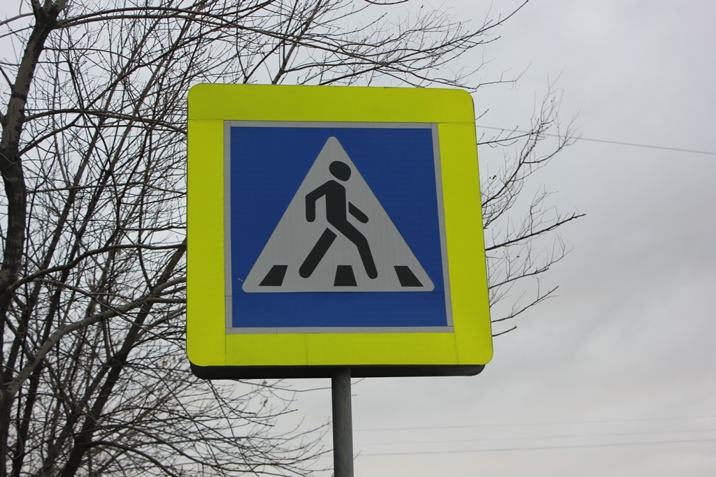 &quotЗебра&quot Фирцикова Наталья, PrimaMedia