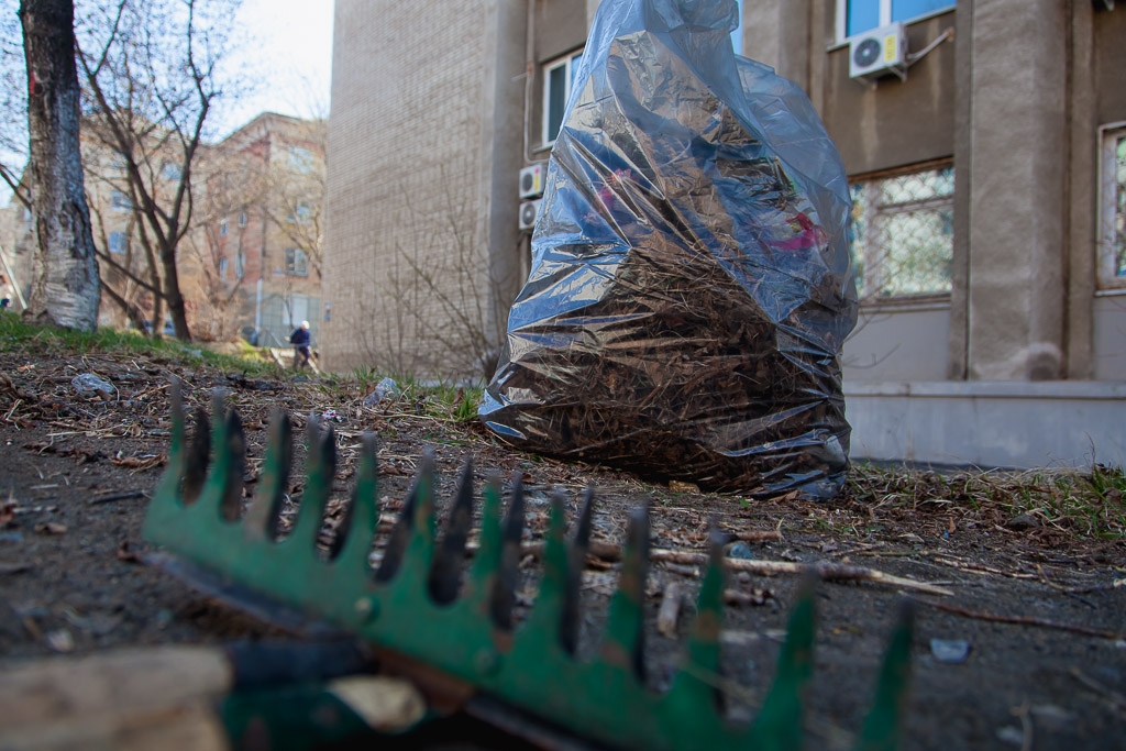 Субботник Евгения Кокурина, РИА PrimaMedia