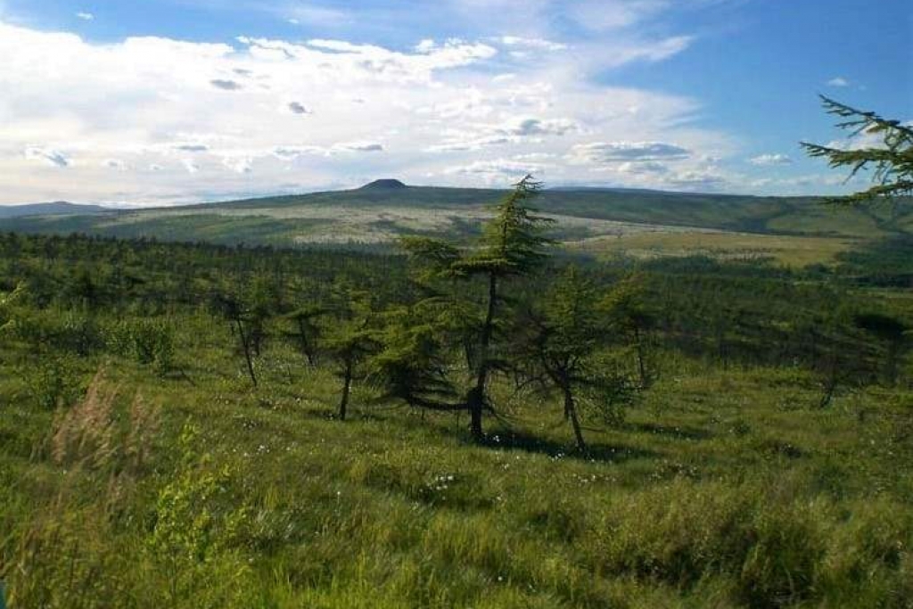 Итоги недели