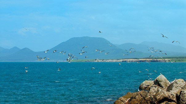 Сахалинская область  change.org