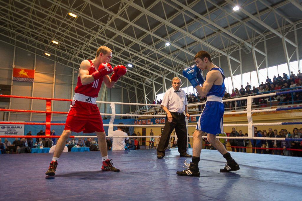 Бокс Александр Крылов