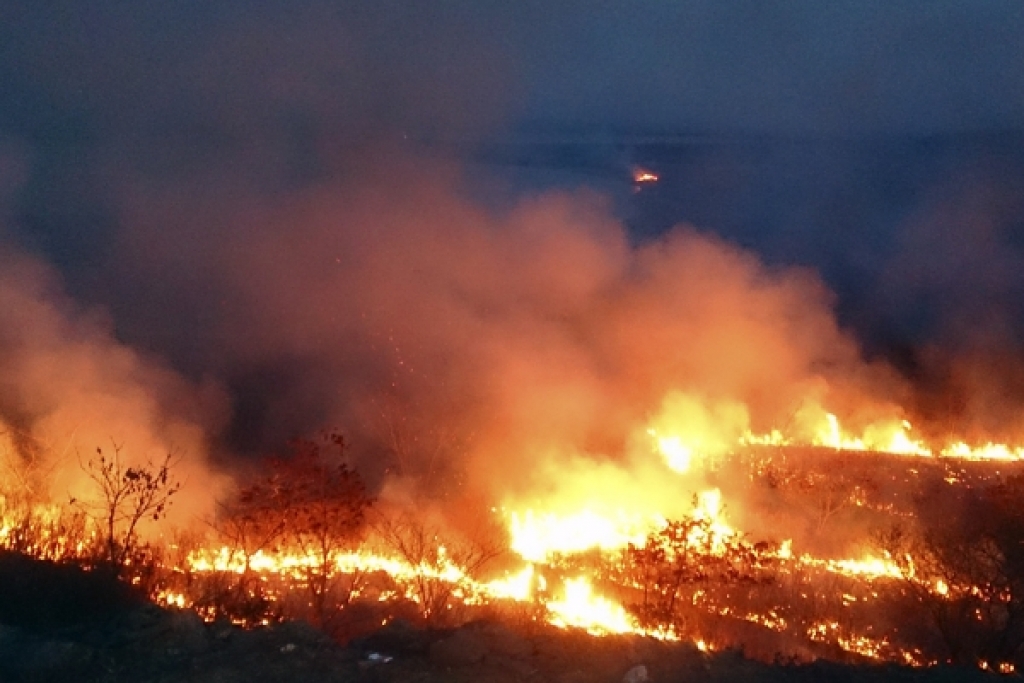 пожар Гречанюк Виталий, PrimaMedia