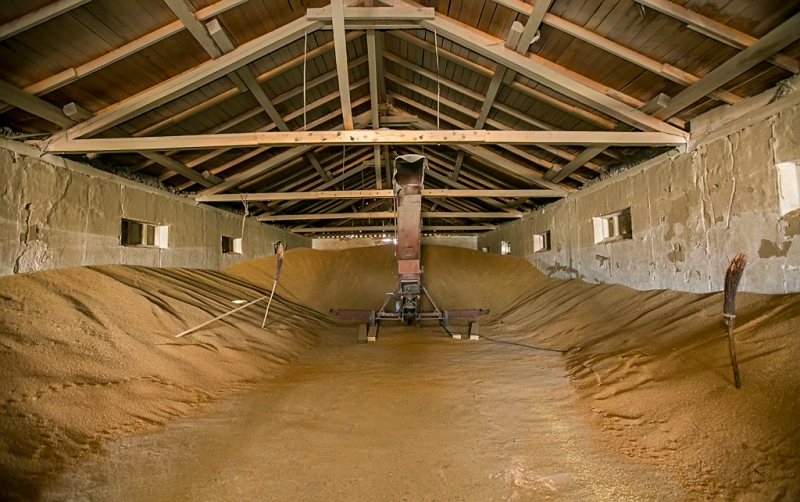 Сельское хозяйство Анна Огородник, UlanMedia