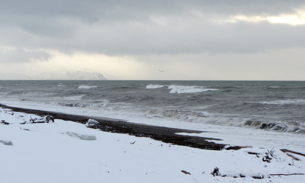 Побережье Игорь Чёрный, MagadanMedia