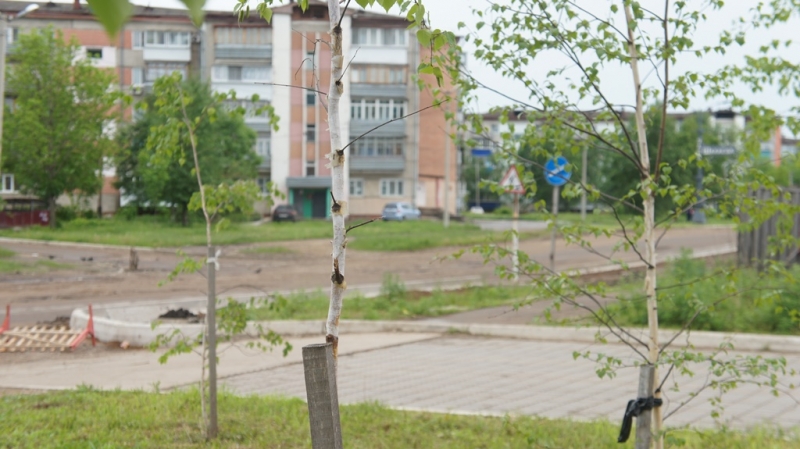 Озеленение Баграновская Наталья, EAOmedia