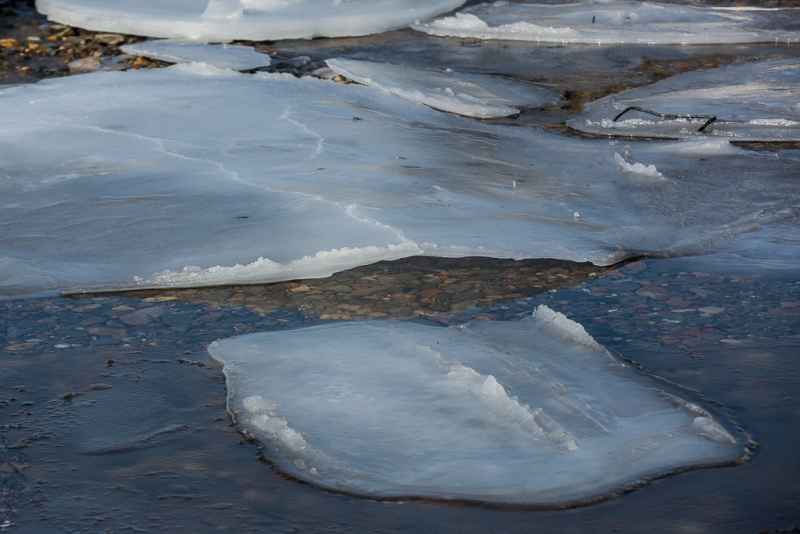 Спасли от гибели тонущего ребенка Балашов Антон, ИА