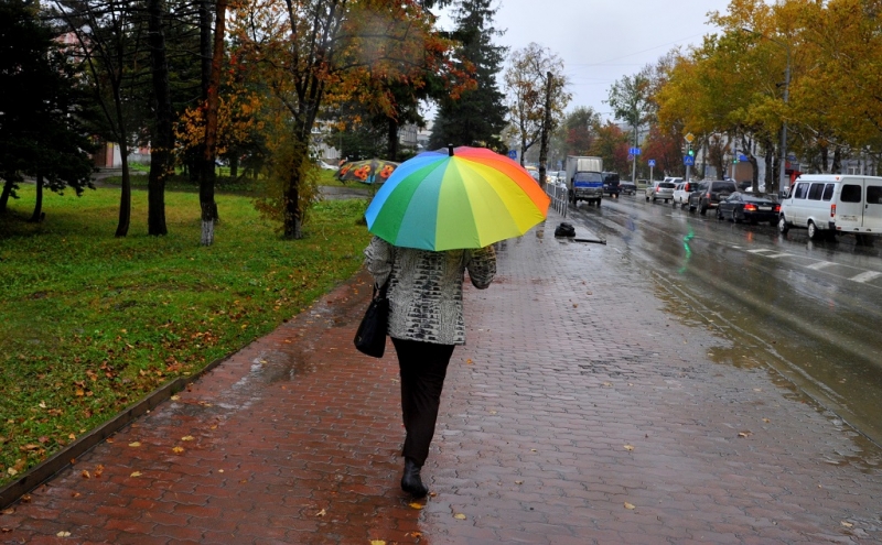 Сильные дожди пройдут на юге Якутии PrimaMedia