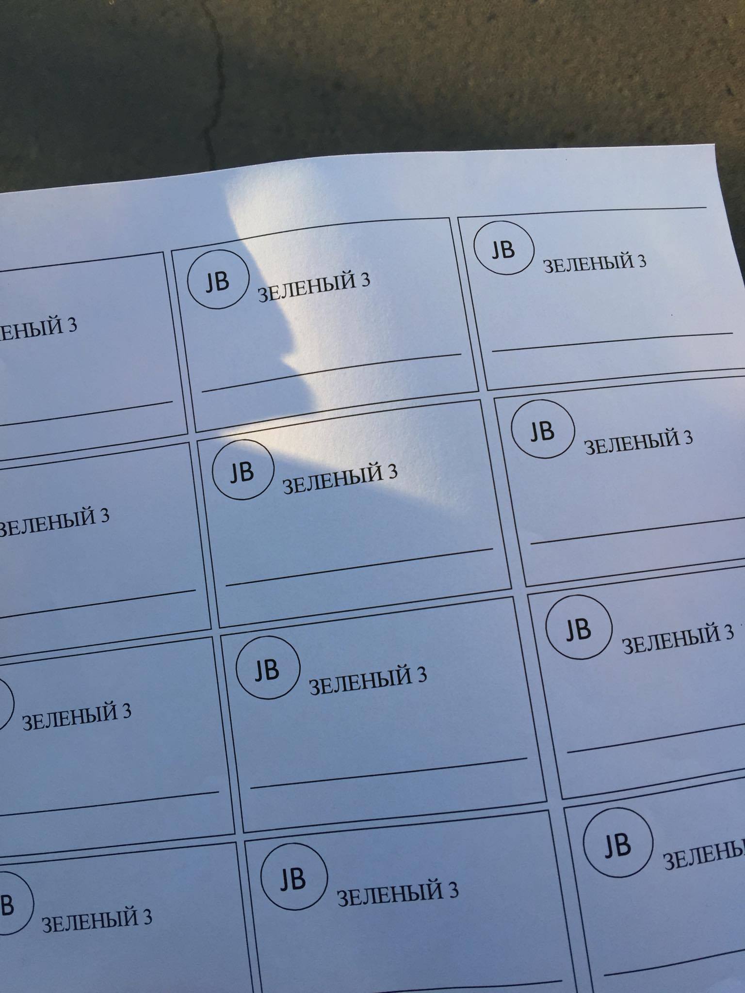 Схема голосования Скриншот ИА UlanMedia