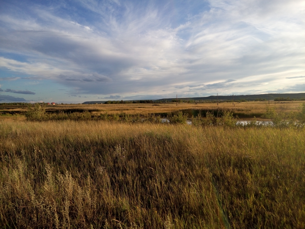 Земельный участок  Нюргуяна Иванова, Yakutiamedia