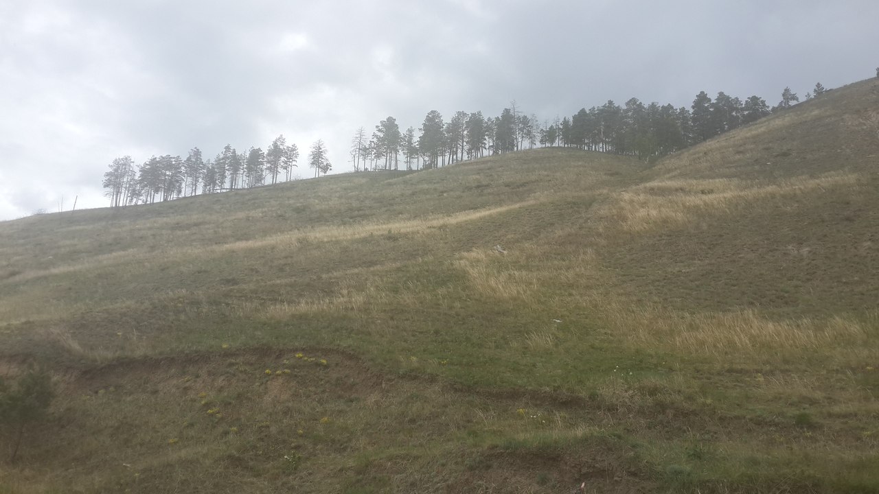 В лесу нашли тела бабушки и внука, пропавших 13 мая в Якутии  