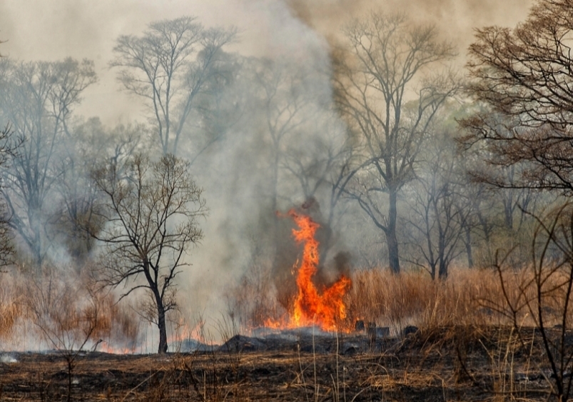Пожар Александр Хитров, РИА PrimaMedia