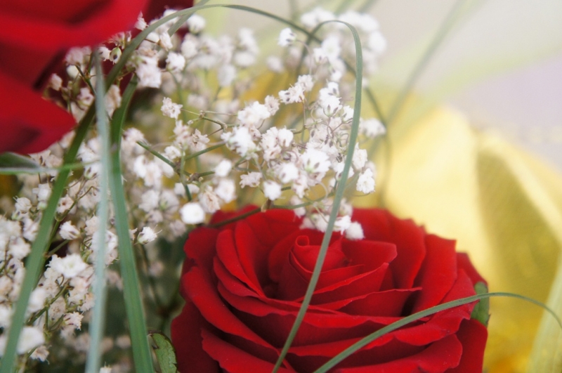 Первые лица ЕАО поздравляют предпринимателей региона с профессиональным праздником Мажуга Анна, PrimaMedia