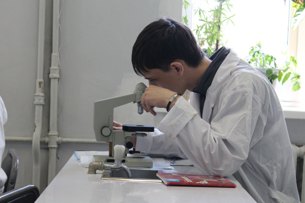 Работа в кабинетах и лабораториях