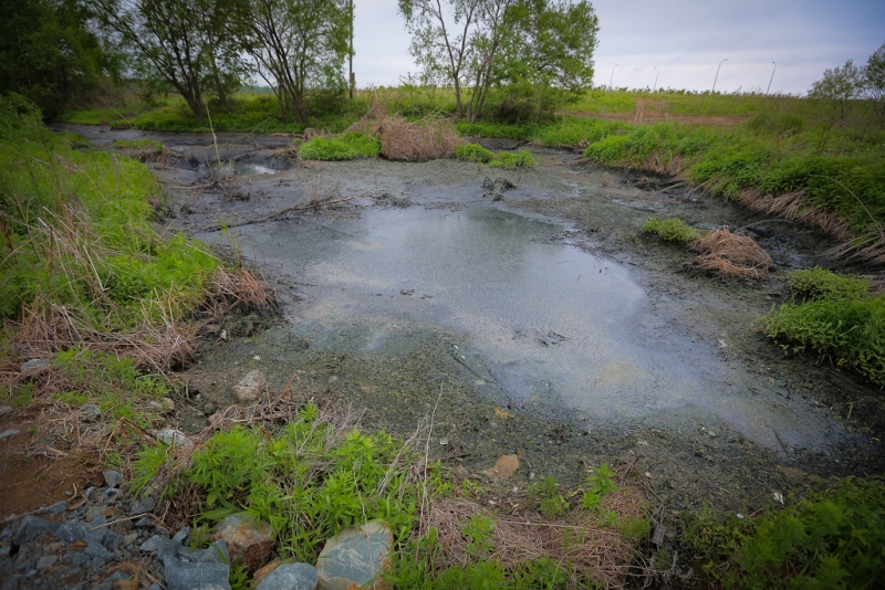 Болото Балашов Антон, PrimaMedia