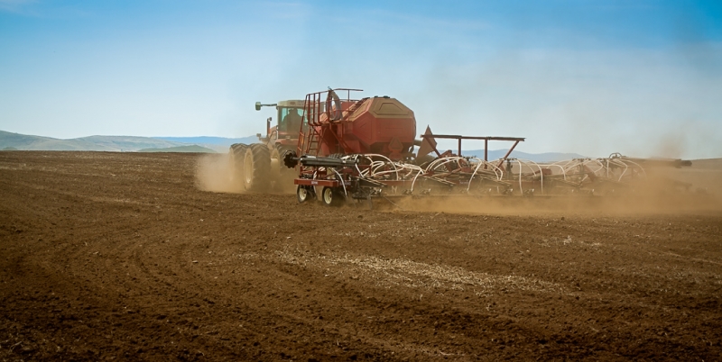 Сельское хозяйство Анна Огородник, UlanMedia