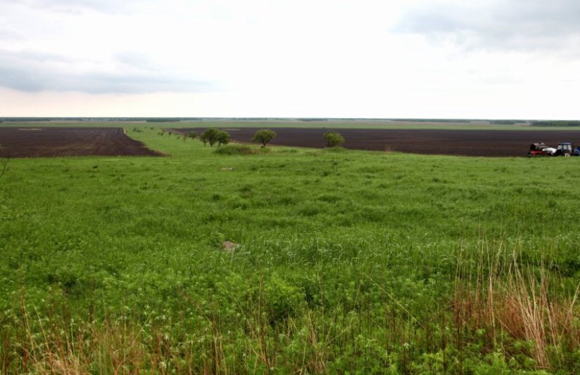 В поле www.eao.ru