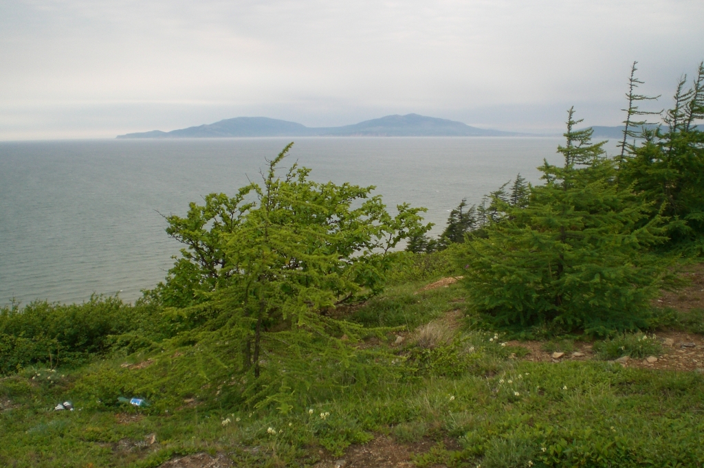 Ольский округ ИА MagadanMedia