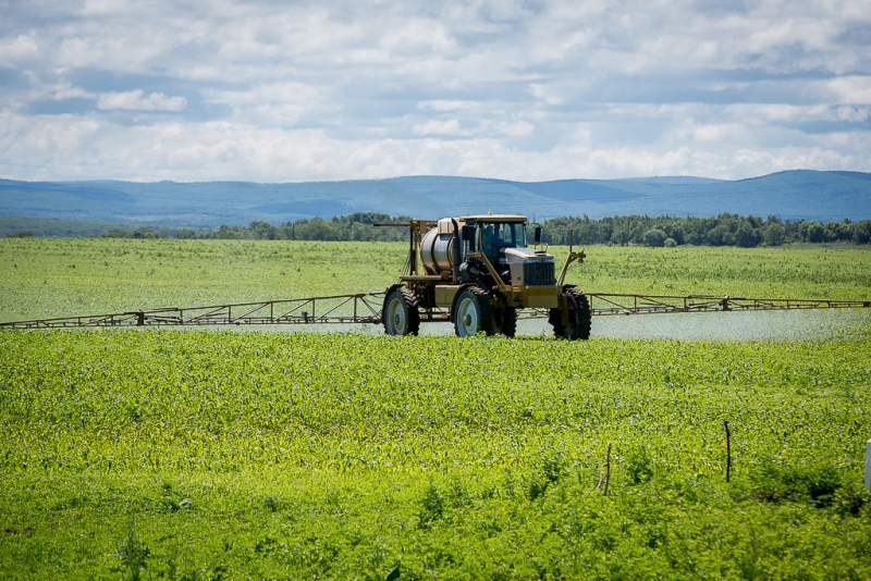 С 1 июня вступил в силу закон о &quotдальневосточном гектаре&quot Балашов Антон, PrimaMedia