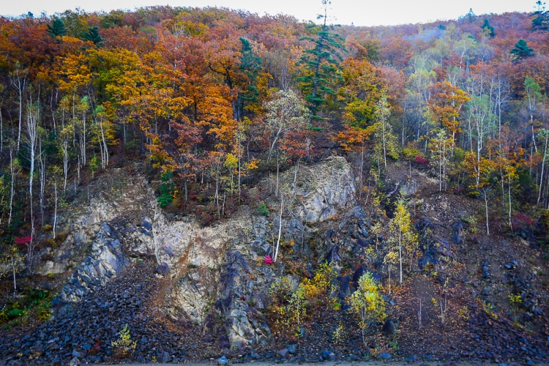 Ученые Музея письменности СВФУ отправятся на исследования древних письмен Якутии PrimaMedia