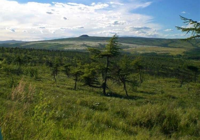 Дальний Восток ИА MagadanMedia