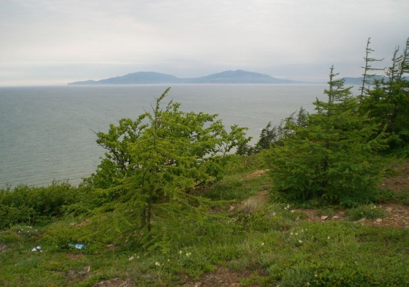 868 тысяч га земли готовы предоставить на Колыме ИА MagadanMedia