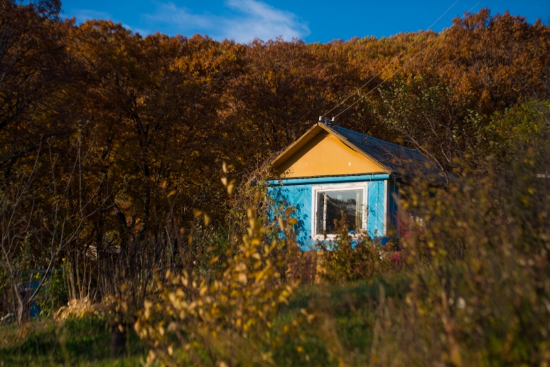 Закон о &quotбесплатном гектаре&quot начал действовать с 1 июня Кузора Валерия, PrimaMedia