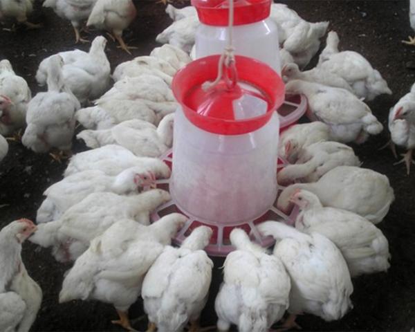 Петухов загнали на спецучасток в исправительной колонии №9 Краснодарского края пресс-служба УФСИН РФ по Краснодарскому краю